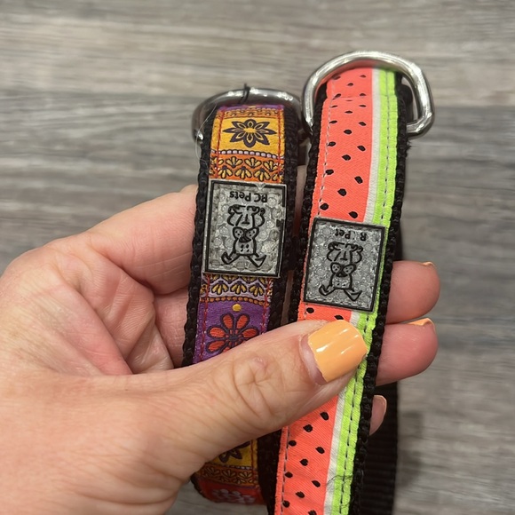 2 size medium dog Collars - Picture 4 of 5